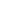 Custom Firmware Development