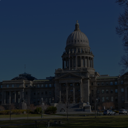 government