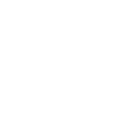Miami logo