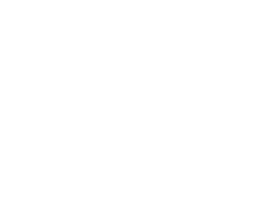 The Client