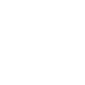 Step 5 Icon